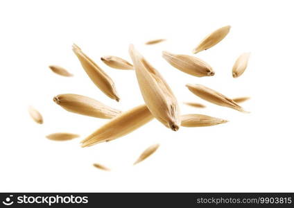 Oat grains levitate on a white background.. Oat grains levitate on a white background