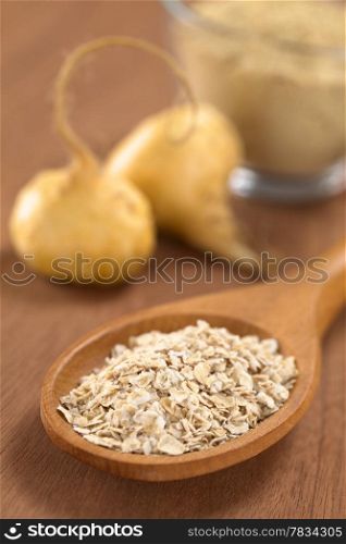 Oatmeal mixed with powdered maca or Peruvian ginseng (lat. Lepidium meyenii) on wooden spoon with fresh maca roots and maca powder (flour) in the back (Selective Focus, Focus in the middle of the oatmeal). Oatmeal with Maca