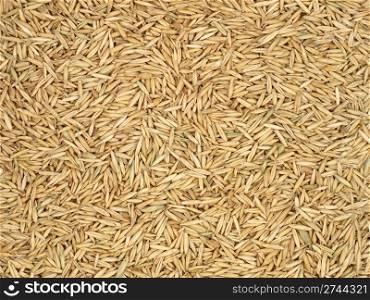 Oats grains as background.