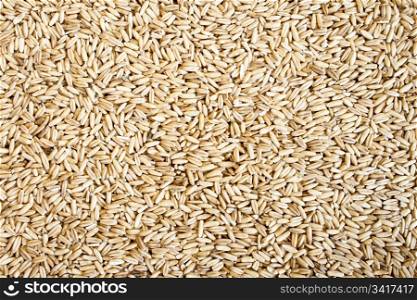 Oats seed as background