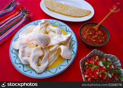 Oaxaca cheese quesadilla from Mexico on red background