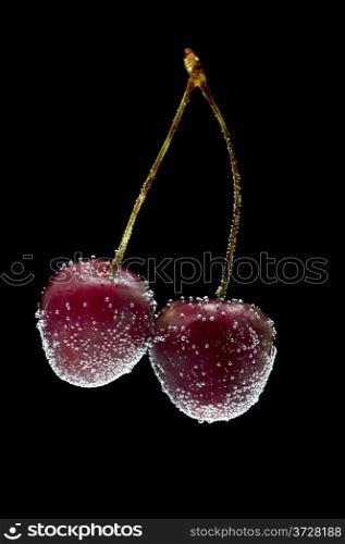 object on black - food cherries in water