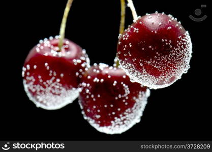 object on black - food cherries in water