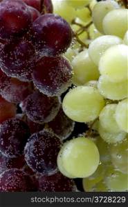 object on black - grapes in water
