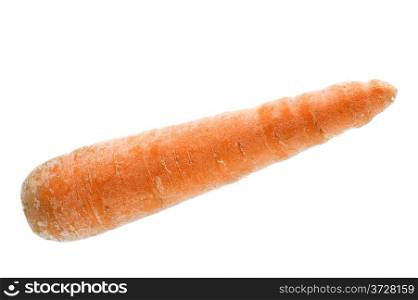 object on white - food carrot in water closeup