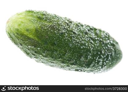 object on white - food cucumber in water