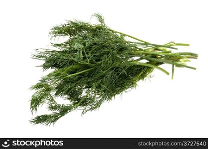object on white - food dill close up
