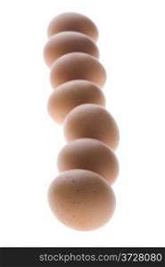 object on white - food egg macro