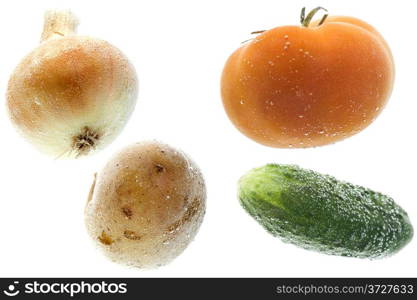 object on white - food vegetables in water