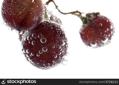 object on white - grapes with air bubbles on white