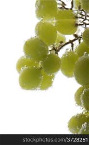 object on white - Green grapes in water