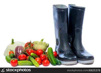 Objects on white background - rubber boots and a bunch of ripe vegetables