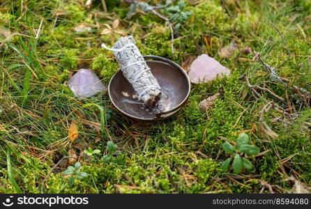 occult science and supernatural concept - close up of white sage in cup and crystals for magic ritual in forest. white sage in cup and magical crystals in forest