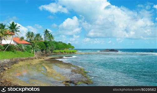 Ocean beach with palm trees and blue sky. Sri Lanka