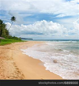 Ocean Beach. Yellow sand and palm. Seascape.