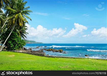 ocean, coconut palms and blue sky