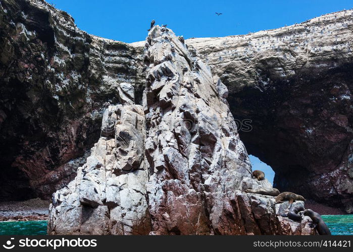 ocean, island and birds on a sunny day