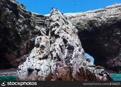 ocean, island and birds on a sunny day