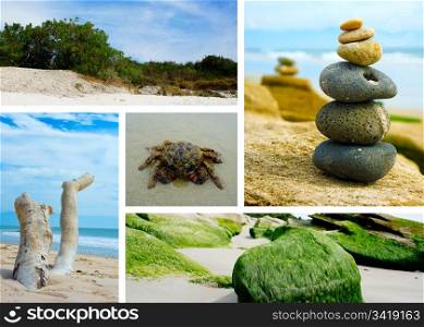 Ocean landscape collage with five different fotos.