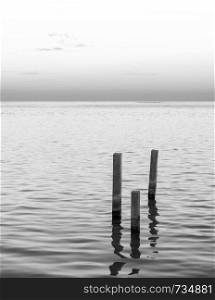 Ocean landscape with minimalism design of wooden pylons in stunning black and white