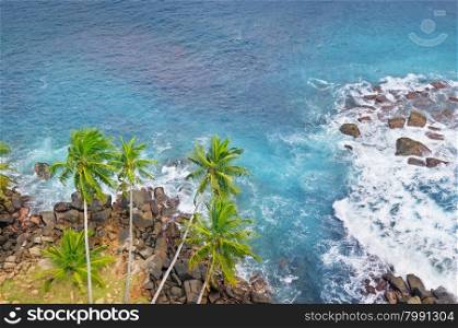 ocean, rocky shore and coconut palms (top view)