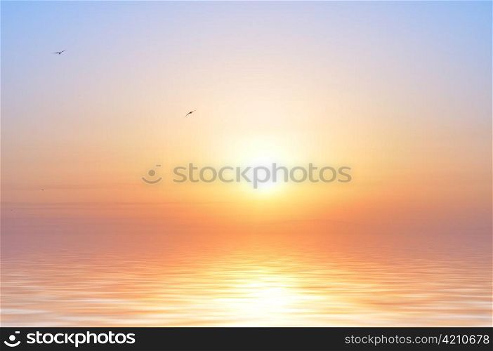 ocean sunrise and birds