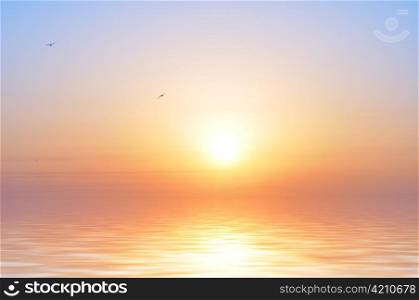 ocean sunrise and birds