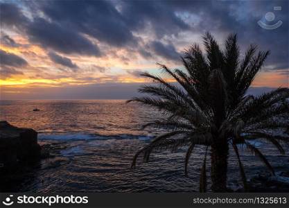 Ocean view and palm tree at sunset in Santo Antao island, Cape Verde, Africa. Ocean view in Santo Antao island, Cape Verde