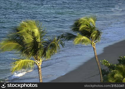 Ocean View - Maui - Hawaiian Islands