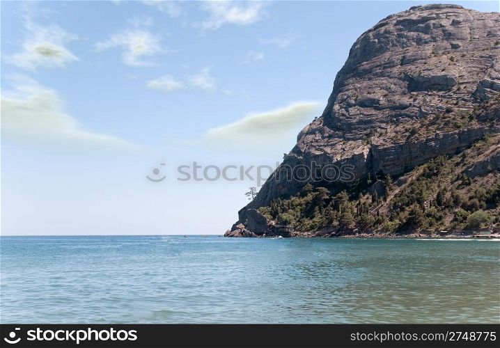 Ocean washing picturesque mountain with alone growing tree