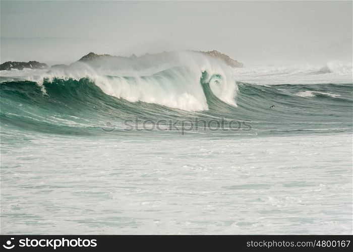 Ocean Wave at USA Pacific coast, California