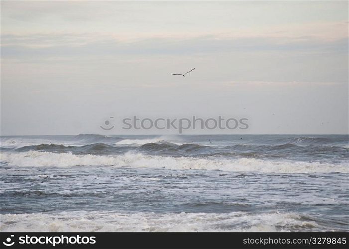 Ocean waves along Hampton coastline