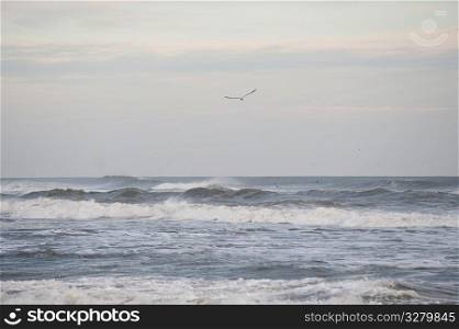 Ocean waves along Hampton coastline