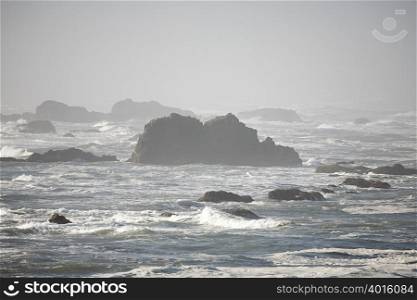 Ocean waves over seal rock