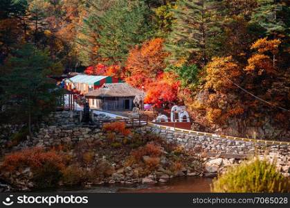 OCT 24, 2013 Gangwon-do, South Korea - Local Korean house in autumn forest at Baekdudaegan Mountain Range Canyon near Seungbu station. Famous tourist train route for autumn & winter.