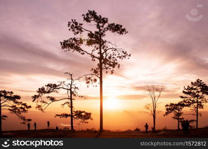 OCT 31, 2019 Loei, Thailand - Beautiful charming dramatic sunrise with silhouette pine trees and tourists at Pha Nok An cliff. Phu Kradueng National park peaceful morning.