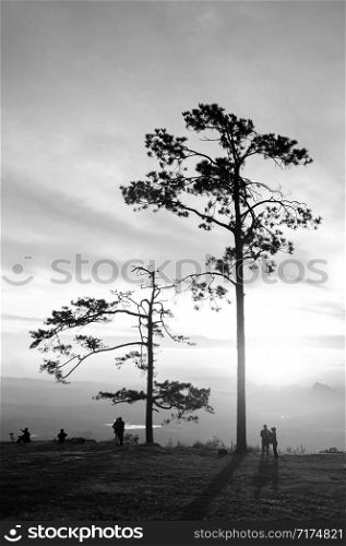 OCT 31, 2019 Loei, Thailand - Beautiful charming dramatic sunrise with silhouette pine trees and tourists at Pha Nok An cliff. Phu Kradueng National park peaceful morning.