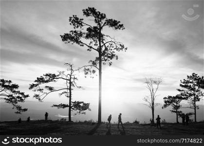 OCT 31, 2019 Loei, Thailand - Beautiful charming dramatic sunrise with silhouette pine trees and tourists at Pha Nok An cliff. Phu Kradueng National park peaceful morning. Black and white