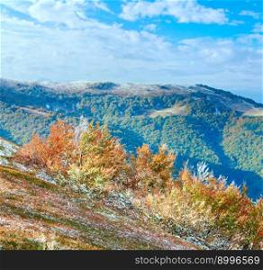 October Carpathian mountain Borghava plateau with first w∫er snow and autumn colorful bilberry bushes