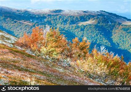 October Carpathian mountain Borghava plateau with first winter snow and autumn colorful bilberry bushes