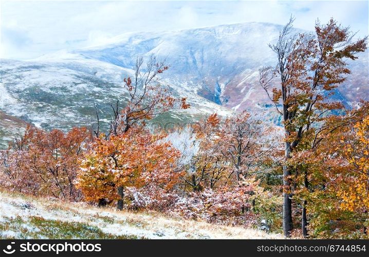October Carpathian mountain Borghava plateau with first winter snow and autumn colorful foliage