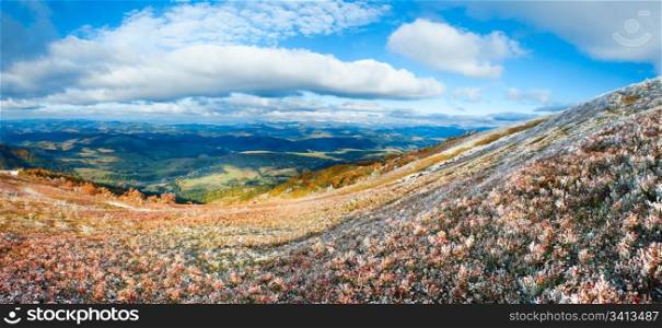 October Carpathian mountain Borghava plateau with first winter snow on bilberry bush and autumn colorful foliage.