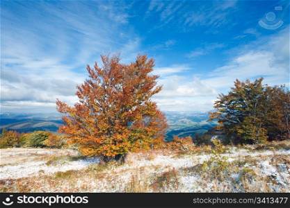 October Carpathian mountain plateau with first winter snow and autumn colourful tree