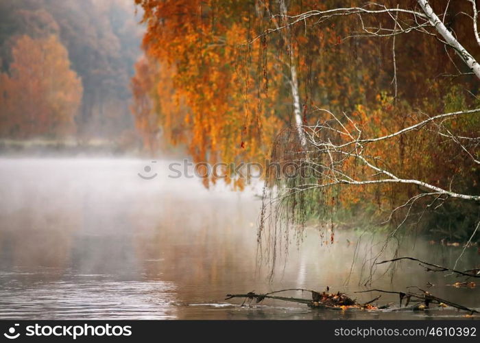 October morning on the river in Belarus