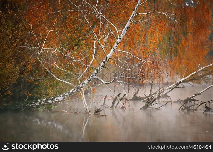 October morning on the river in Belarus