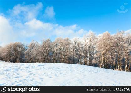 October mountain beech forest edge and first winter snow