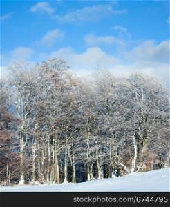 October mountain beech forest edge and first winter snow. Two shots stitch image.