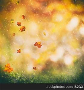 october rain, beauty autumnal backgrounds with faded colors