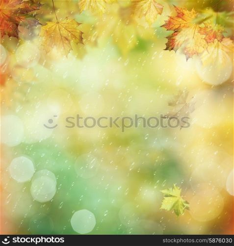 October rain in the forest, abstract environmental backgrounds