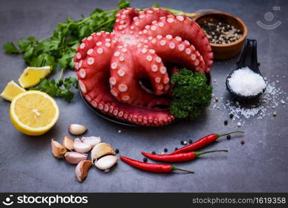 Octopus food salad vegetable with garlic lemon chili salt coriander parsley and pepper on black plate for boiled cooked seafood, Fresh squid octopus cuttlefish dinner restaurant